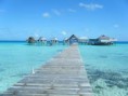 /album/galleria-foto-chi-siamo/images-1-jpg/